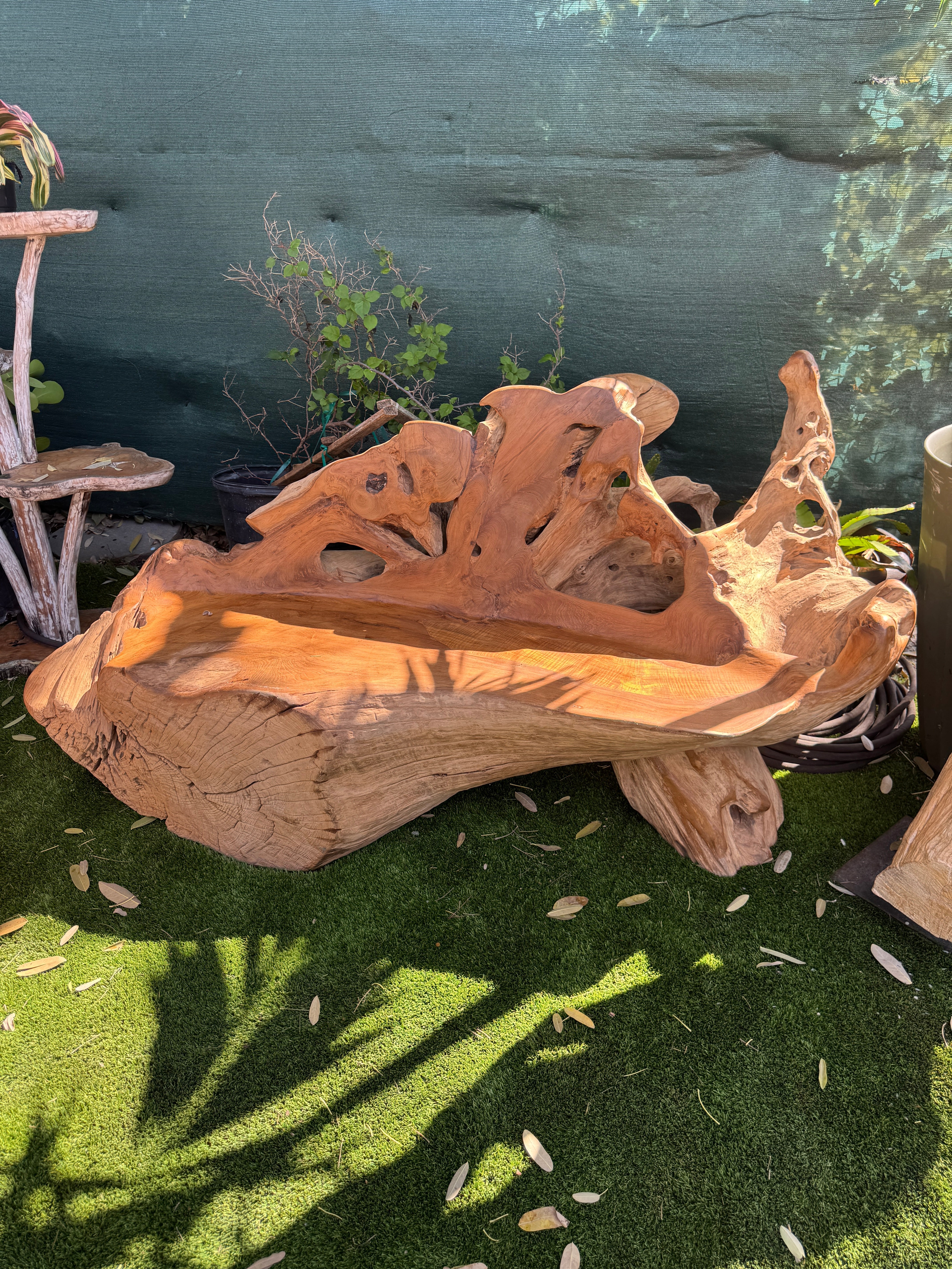 Teak Root Sofa XXL (B)